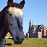 octobre 2011  Eglise St Martin d' Esmery Hallon