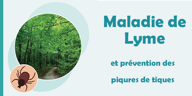 Maladie de Lyme et prévention des piqûres de tiques - déplian